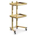 Beauty Salon Trolley Cart on Wheels,3-Tier Metal Rolling Cart,Stainless Steel Salon Storage Stand with Wheels Trolley Tray Storage Cart Kitchen Storage Trolley (Color : Gold)