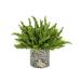 Primrue Heather Mixed Floral Arrangements in Vase Plastic/Polysilk in Green | 12 H x 14 W x 14 D in | Wayfair AF402FF972934377B59B444C584AB9BB