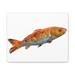 Rosecliff Heights Orange Fish Stretched - Unframed Illustration on Canvas in Orange/White | 15 H x 20 W x 2 D in | Wayfair