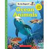 Be an Expert!: Ocean Animals (paperback) - by Amy Edgar