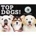 Top Dogs! (with necklace!) (paperback) - by C. J. McDonald
