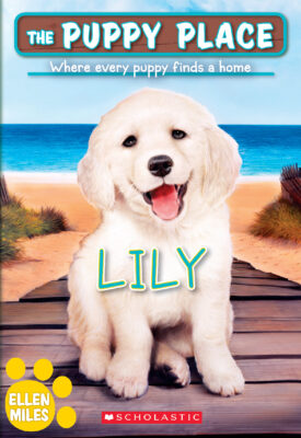 The Puppy Place #61: Lily (paperback) - by Ellen Miles