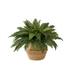 23in. Artificial Boston Fern Plant with Handmade Jute & Cotton Basket DIY KIT - Nearly Natural T4483