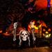 3pcs Scary Halloween Skeleton Head Stake Halloween Scene Layout Props for Halloween Outdoor Decor