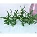 Artificial 6 Branches Olive Long Stem Olive Tree Branches Artificial Olive Plant Branches Fruits Silk Olive Leaves Decor for Home Garden Artificial Olive Branch Greenery Plants