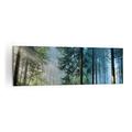 Canvas Print 160x50cm Canvas Picture Forest Dawn The Sun Large XXL Home Decor Framed Living Room Bedroom Kitchen Panoramic Wall Art Decoration Photo Gallery Printed Modern Artwork AB160x50-4398