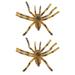 NUOLUX 2Pcs Simulation Tarantula Toys Educational Spider Models Decorative Spider Toys