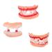 3pcs Scary Zombie Teeth Braces Tricky Toy Denture Party Props Supplies for Halloween Masquerade Costume Party Cosplay