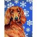 Carolines Treasures Irish Setter Winter Snowflakes Holiday House Size Canvas Flag