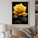 Rosdorf Park Danail Black Rose Elegance III On Canvas Print Metal in Yellow | 40 H x 30 W x 1.5 D in | Wayfair 4DFC4A61DA7C45798F39B6436010F63C