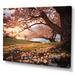 Latitude Run® Pink Cherry Blossom Field II - Print on Canvas Canvas, Cotton in Pink/Red | 12 H x 20 W x 1 D in | Wayfair