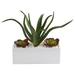 Nearly Natural 12-inch Aloe and Echeveria Succulent Artificial Plant in White Planter