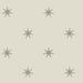 Wicker & Metallic Glint Star Splendor Peel and Stick Wallpaper