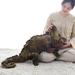 FUNNYFAIRYE Simulation Chameleon Stuffed Plush Toy - Lizard PlushieToy Real Life Reptiles Wild Lizard Chameleon Stuffed Animal Toys Gifts for Kids ï¼ˆ27.5 Inchesï¼‰ (Brown)