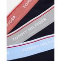 Tommy Hilfiger 3 pack briefs in multi