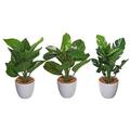 Maison Concepts Artificial Plants In White Plastic Pot (Asstd) - Set of 3 (4L X 4W X 13H)