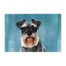 Wooden Puzzle My Lovely Pet Schnauzer Dog With Bubble 300-Slice Puzzle for All Ages Gifts
