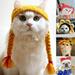 Uehgn Cute Cartoon Handmade Dog Cat Hat Animal Party Costume Cap Pet Decor Accessory