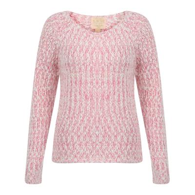 Jumpers Womens Plum Tree Passion Flower Jumper in Pale Blush and Raspberry Rose twist / 18 - Tokyo Laundry