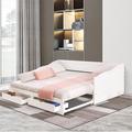 Wildon Home® Hert Daybed w/ Trundle Wood in White | 29.02 H in | Wayfair A51C750809694E43BC74B4E3E8D318DB