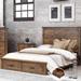 Loon Peak® Gurtaaj Queen Storage Standard Bed Wood in Brown | 52 H x 65 W x 84.8 D in | Wayfair 7137F6C6CDB54D14908EB82B0ED8FA65