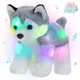 Chien en peluche musical avec veilleuses lumière LED animal en peluche chiot husky berceuse