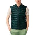 Lacoste Herren Parkas & Blousons ärmellose Jacke, Vert (Yzp), M