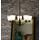 Maxim Lighting Stefan 5-Light Oil Rubbed Bronze Modern/Contemporary Dry rated Chandelier | 10065FTOI