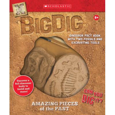 Big Dig Excavation Kit