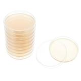 TOYMYTOY 10pcs Pre-Poured Agar Plates Labs Petri Dishes with Agar General Growth Medium