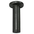 Dia X 3/4 Length Steel Solid Flat Head Rivet Plain Finish (Pack Of 1 LB - Approximately 63 Pieces)