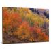 Global Gallery 30 x 40 in. Aspen Grove in Fall Colors Washington Gulch Gunnison National Forest Colorado Art Print - Tim Fitzharris