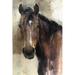 Red Barrel Studio® Hank Light V2 by Marilyn Hageman - Wrapped Canvas Painting Metal | 18" H x 12" W | Wayfair FFA5A11B520E4FAEABEFB4EC544305B9