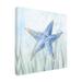 August Grove® Undersea Starfish Seaweed - Wrapped Canvas Print Canvas, Cotton in White | 24 H x 24 W x 2 D in | Wayfair