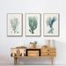 Wexford Home Antique Coastal Coral VI Framed On Canvas 3 Pieces Print Canvas, Solid Wood in White | 36 H x 72 W x 2 D in | Wayfair