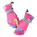 Ski Snowboard Gloves Waterproof Winter Warm Gloves Cold Weather Touchscreen Snow Gloves for Mens Womens Kids Skiing Snowboarding - M
