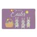 Easter Decorations For The Home Throw Pillows And Blanket Set for Couch Easter Mats Holiday Mats Welcome Door Mats Polyester Door Mats