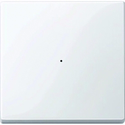 Merten System M Kontrollwippe, Schalter/Dimmer, aktivweiß, glänzend, ohne ISO Aufdruck Image