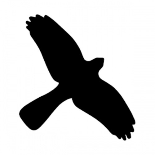 Vogelschutz Aufkleber für Fenster - 350x230 mm Folie selbstklebend Image