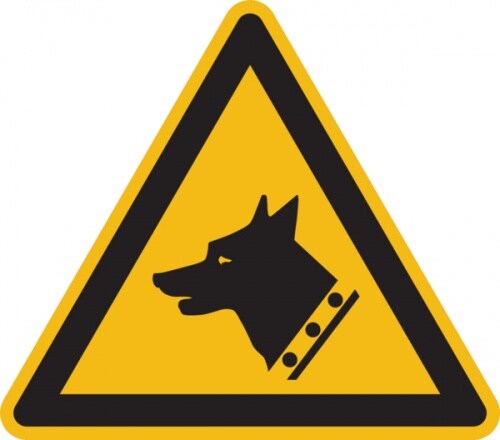Warnschild, Warnung vor dem Wachhund W013 - ASR A1.3 (DIN EN ISO 7010) - 100 mm Folie selbstklebend Image