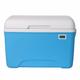 LYEAA 8L Ice Bottle Cooler Portable Outdoor Incubator Large Capacity Fresh-Keeping Incubator Mini Fridge Camping BBQ Equipment (With thermometer Blue)