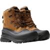 Winterstiefel THE NORTH FACE "M CHILKAT V LACE WP UTILITY", Damen, Gr. 44,5, braun (schwarz, braun), Leder, Textil, sportlich, Schuhe, Snowboots, Winterboots, Winterschuhe, wasserdicht