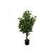 110Cm Evergreen Ficus, Artificial Plant | Wowcher