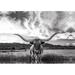 Steelside™ Black & White Longhorn Cow I - Wrapped Canvas Photograph Paper in Black/Gray/White | 20 H x 30 W x 1.25 D in | Wayfair