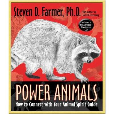 Power Animals: How To Connect With Your Animal Spi...