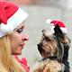 Christmas Dog Pet Santa Hat Headband Cat Costumes Headgear Puppy Headwear Costume Xmas Headdress Cats Caps