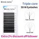 Wendy Lashes Triple-core 5DW Shape EyeLashes 12 Rows 0.07 Curl C/D High Quality Fake Eyelash