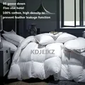 KDJEIKZ Winter Cotton Goose Down Quilt Five-Star Hotel Duvet Super Soft Fluffy Queen King Full Size