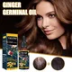 Alopecia Hair Treatment for Women Hairloss Hair GINGER GERMINAL OIL Ginger Hair Growth Oil