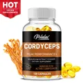 Cordyceps Extract - Mushroom Supplement Vegan Capsules Non-GMO Gluten-Free Supplement